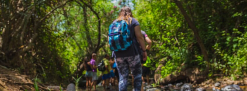 group of people hiking